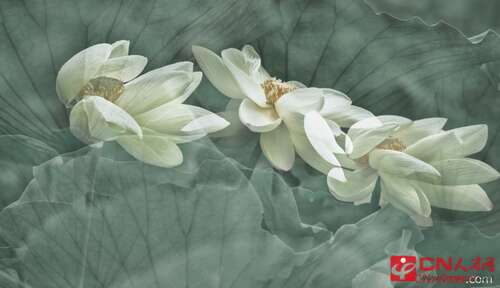 不要让放弃是你的遗憾