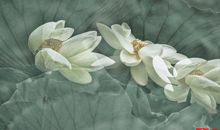 别让放弃成为你的遗憾