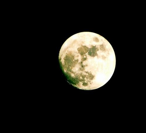 孤独是追求卓越的唯一途径