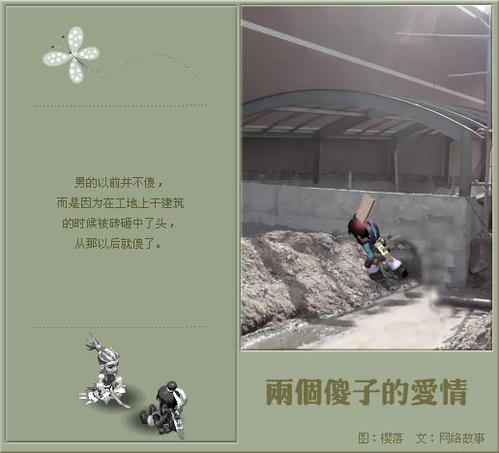 两个傻瓜的爱情故事