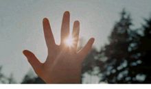 这是走到金字塔尖最好的捷径！