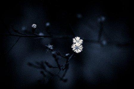 你为什么这么聪明却如此混血？