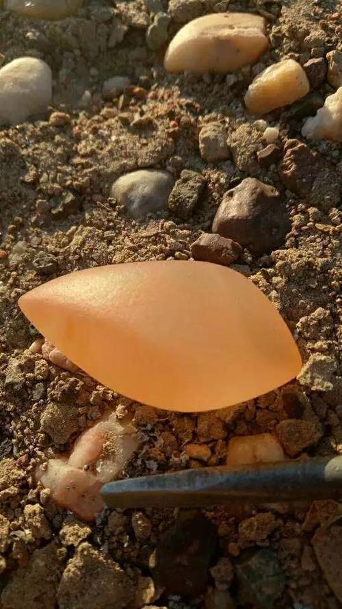 没有上帝赋予的平等，只有公平