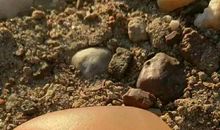 没有天赐的平等，只有搏出的公平