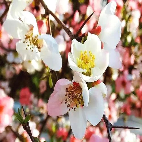 三话不说，三话不说，三人不说话