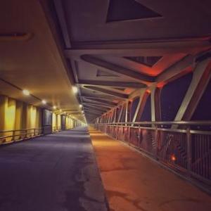 你不愿意跌倒，但你不进取