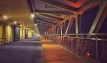 你不甘堕落，却又不思进取