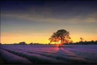 生活35，您可以重新洗牌吗？