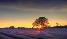 人生35，可不可以重新洗牌？