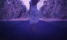 经典语录：你对每个人都好脾气，其实是因为孤独吧