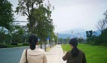 每一寸赘肉，都是对生活的妥协