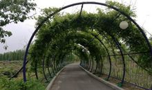 路的旁边还是路