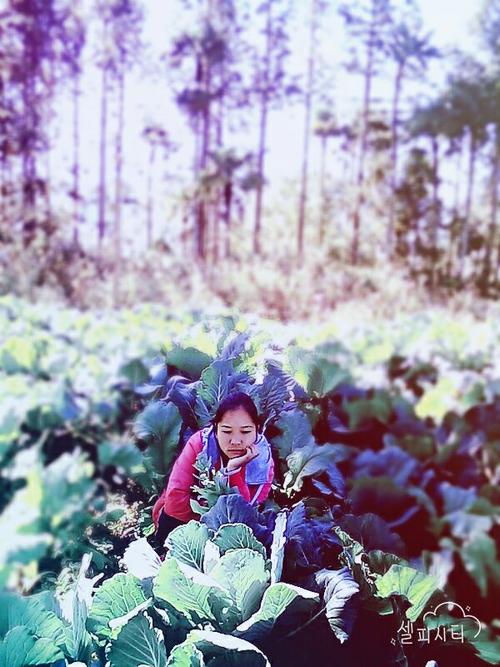 梦想注定是孤独与痛苦的旅程