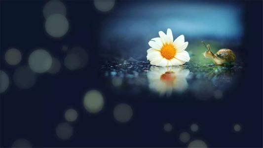 早安信息：无论何时，不要让自己失望