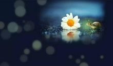 早安心语：无论何时，都不要辜负自己