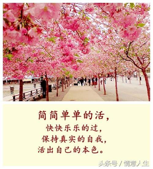 他们爱你，珍惜生命