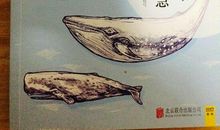 你一定要努力，但千万别着急