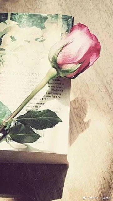 新京报2014新年致辞