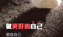 适合发朋友圈的励志名言，热血满腔