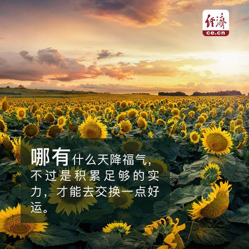 可以生存，出色；无法生存，滚蛋