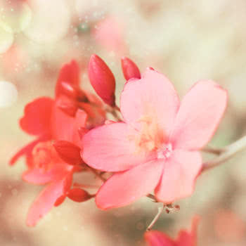 当生存一词留给所有人时，您为什么要decade废？