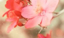 当一切只剩下生存二字，你有什么理由去颓废？