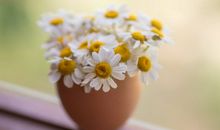 唯有割舍，才能专注；唯有放弃，才能追求