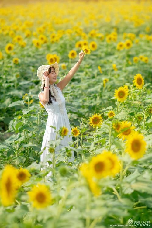 太阳温暖了谦卑的你吗