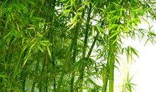 做人做事，或悲或喜，成于10悟，败于10忌