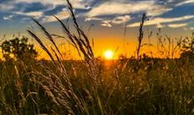 努力和拼尽全力之间差了什么