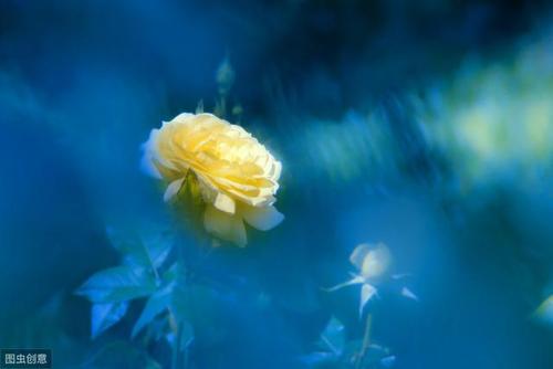 无论一个人有多努力，他都不会输