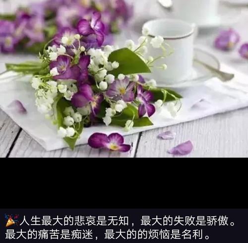 经典语录：现在是什么，现在是心脏，将会发生什么；未来是什么，未来的心脏，为什么要打扰