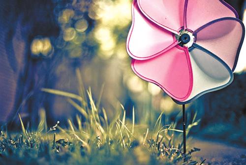 经典语录：不管记忆有多漂亮，它又能再做一次吗？