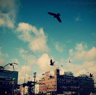 世界上所有的坚持都是因为爱