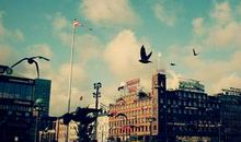 世上所有的坚持，都是因为热爱