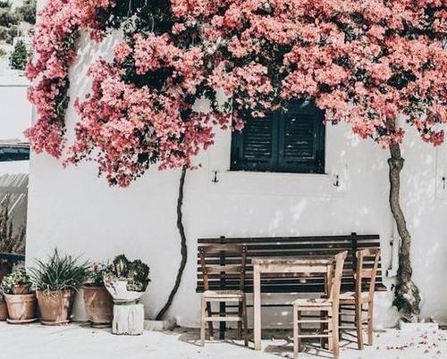 这两个词足以“杀死”任何高情商