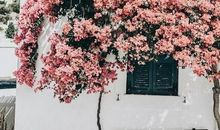 这两个字，足以“秒杀”任何高情商