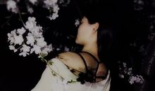 所有人都在努力，不是只有你受尽委屈