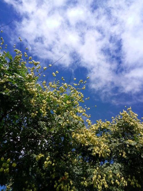 幸运的是，向来坚强的人一直谦虚