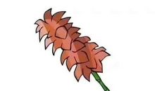 将生活的鸡毛，扎成漂亮的掸子