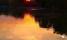 真要改变自己，什么时候都不晚