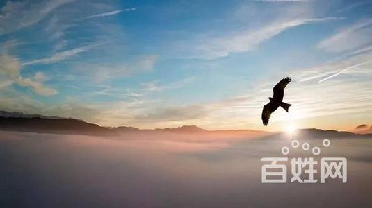 有一个高级的情绪智力称为“不要携带它”