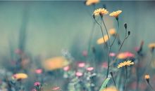 一个女人要成为女王，必需经过三重境界