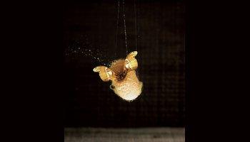 成为自己故事中的蝴蝶