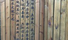 学会在苦难中看到机会