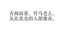 经典语录：你唯一的过错，在于你爱上的人不值得你去爱