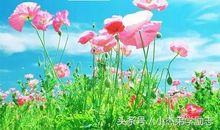 2018年末最新平安夜祝福语！句句温馨、句句甜蜜、句句入心！