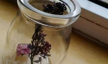 传说中幸运的青春从来都是别人的