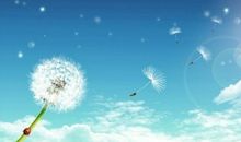 不要因为害怕结束，就拒绝所有的开始