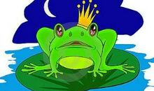 所有努力的青蛙，终将化为王子